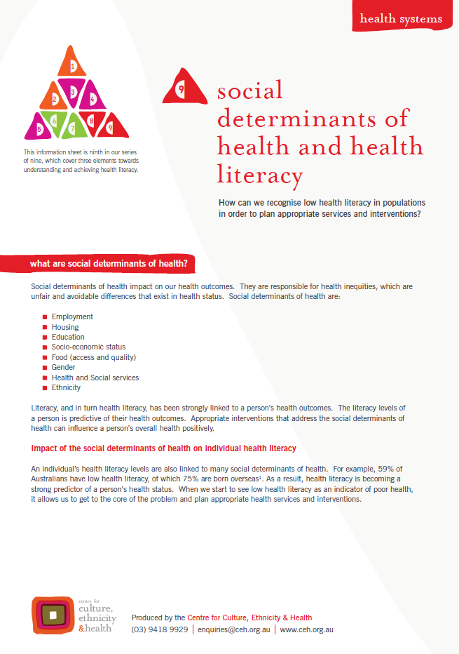 What are some of the social determinants of health?